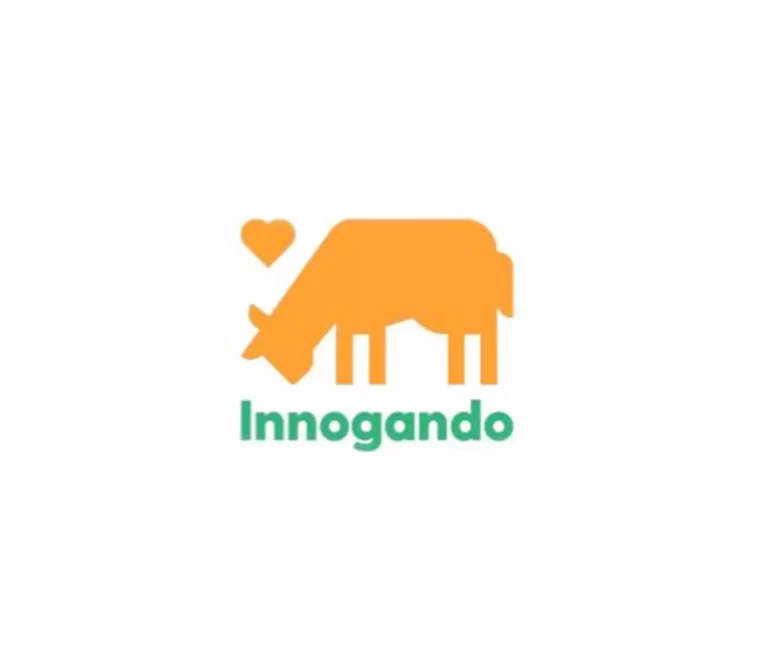 logotipo innogamdo